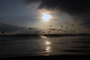 NVSPICS > Surf Scapes photo