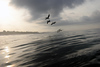 NVSPICS > Surf Scapes photo