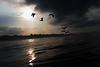 NVSPICS > Surf Scapes photo