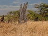 NVSPICS > Stock Photography - Maui Locations photo