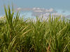 NVSPICS > Stock Photography - Maui Locations photo