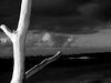 NVSPICS > Stock Photography - Maui Locations photo