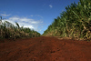 NVSPICS > Stock Photography - Maui Locations photo