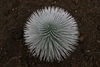 NVSPICS > Stock Photography - Maui Locations photo