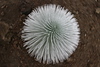 NVSPICS > Stock Photography - Maui Locations photo